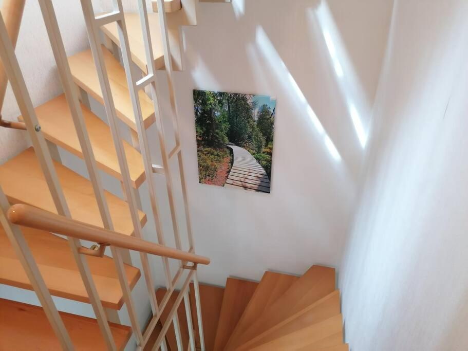 Ferienhaus Hoher Weg - Urlaub, Wandern, Downhill Und Workation Am Nationalpark Harz Sankt-Andreasberg Extérieur photo