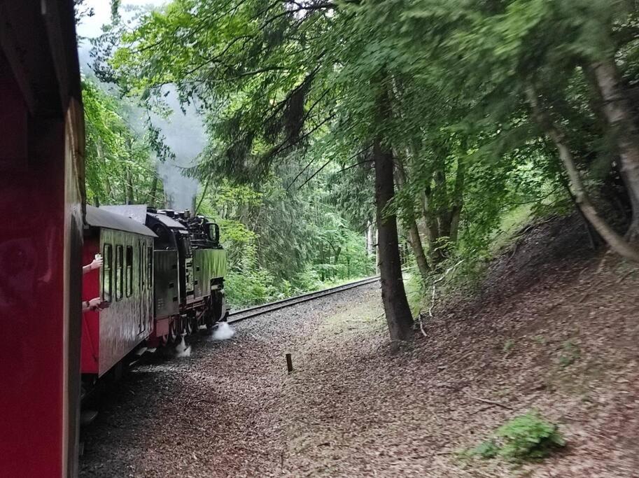 Ferienhaus Hoher Weg - Urlaub, Wandern, Downhill Und Workation Am Nationalpark Harz Sankt-Andreasberg Extérieur photo