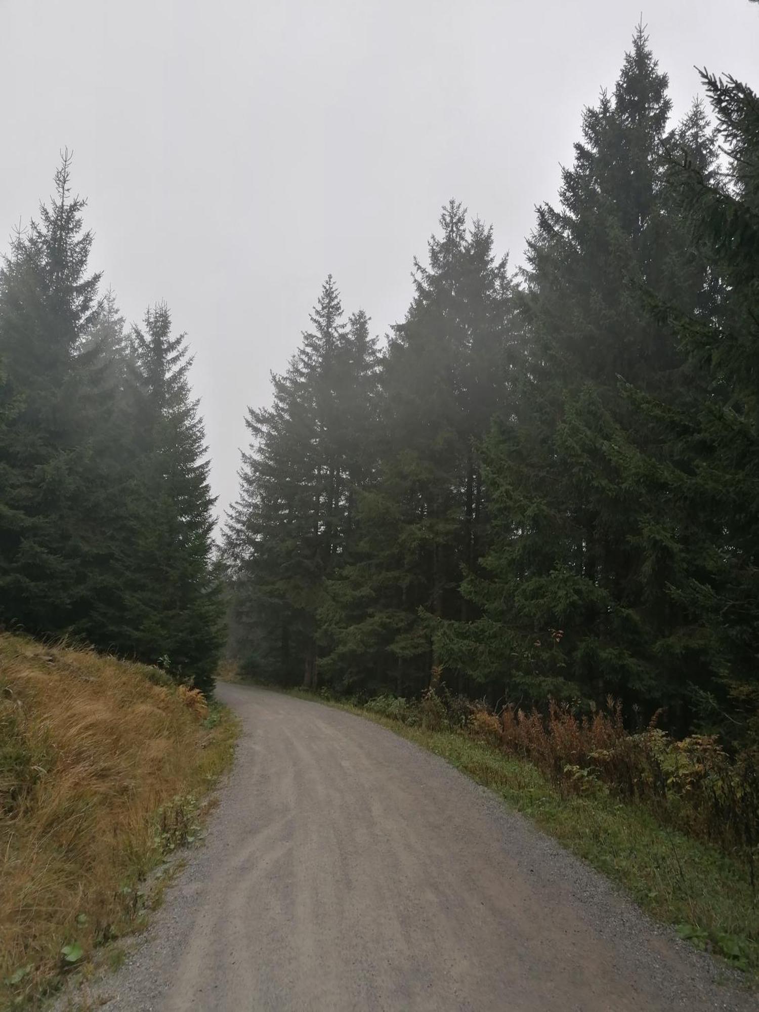 Ferienhaus Hoher Weg - Urlaub, Wandern, Downhill Und Workation Am Nationalpark Harz Sankt-Andreasberg Extérieur photo